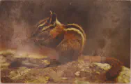 images/chipmunk_postcard_front.webp