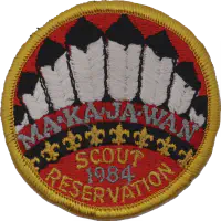 1984 Annual Patch