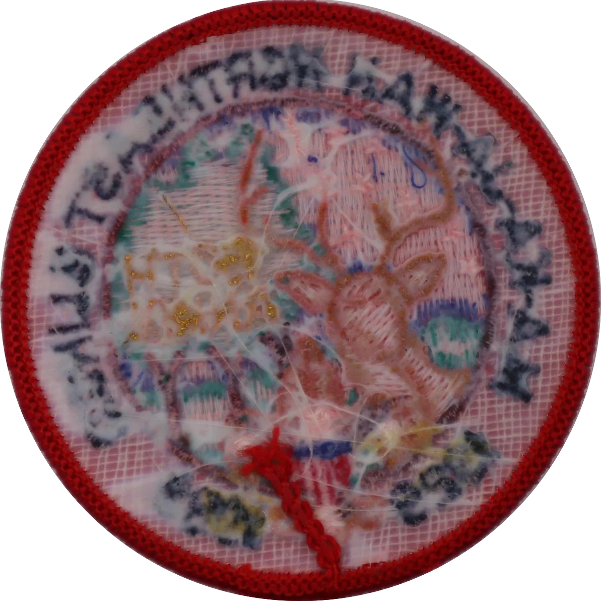 images/1989_anniversary_rear.webp