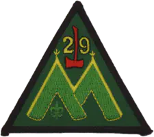 1999 '29' Patch