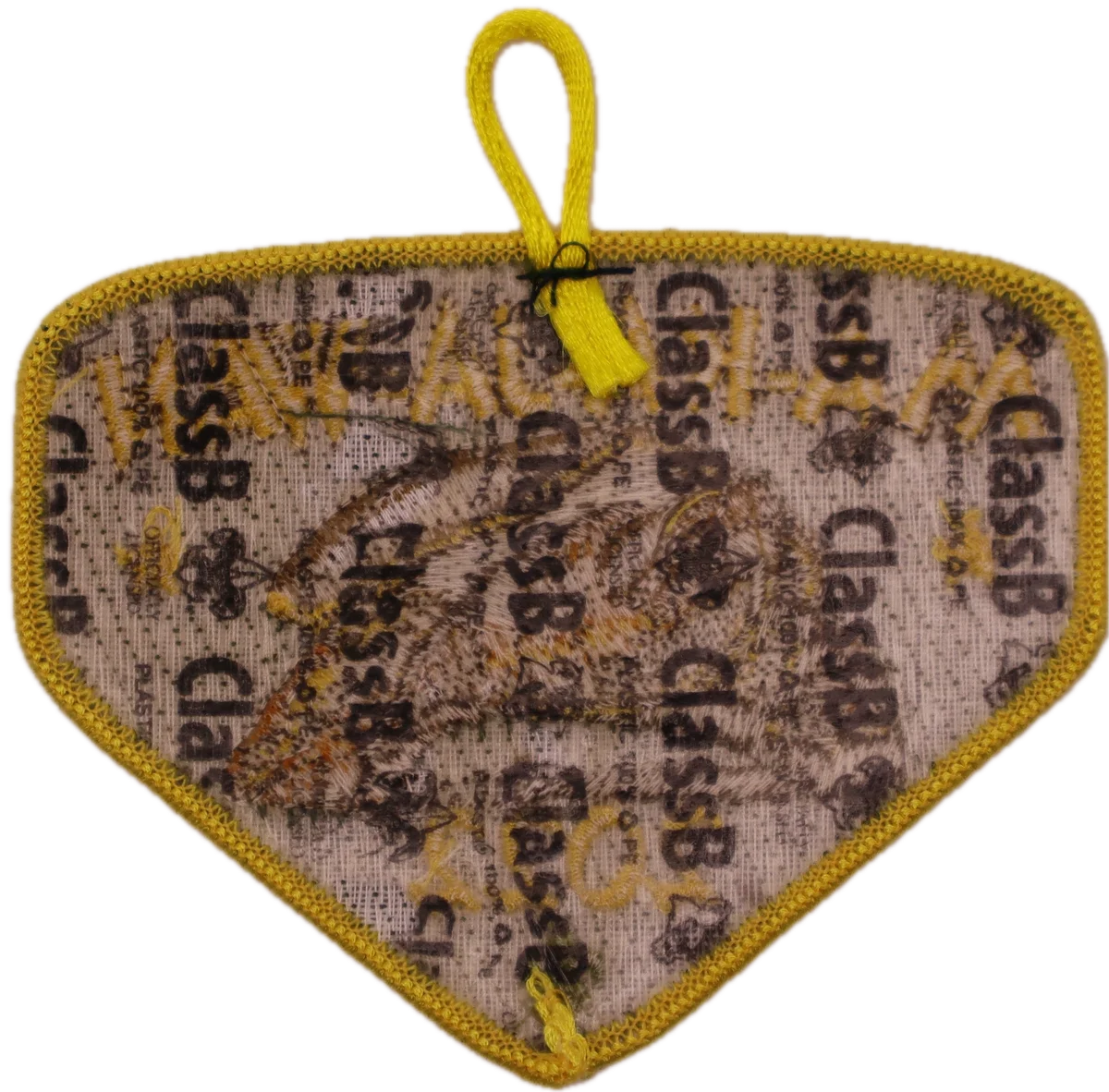 images/2022_annual_rear.webp