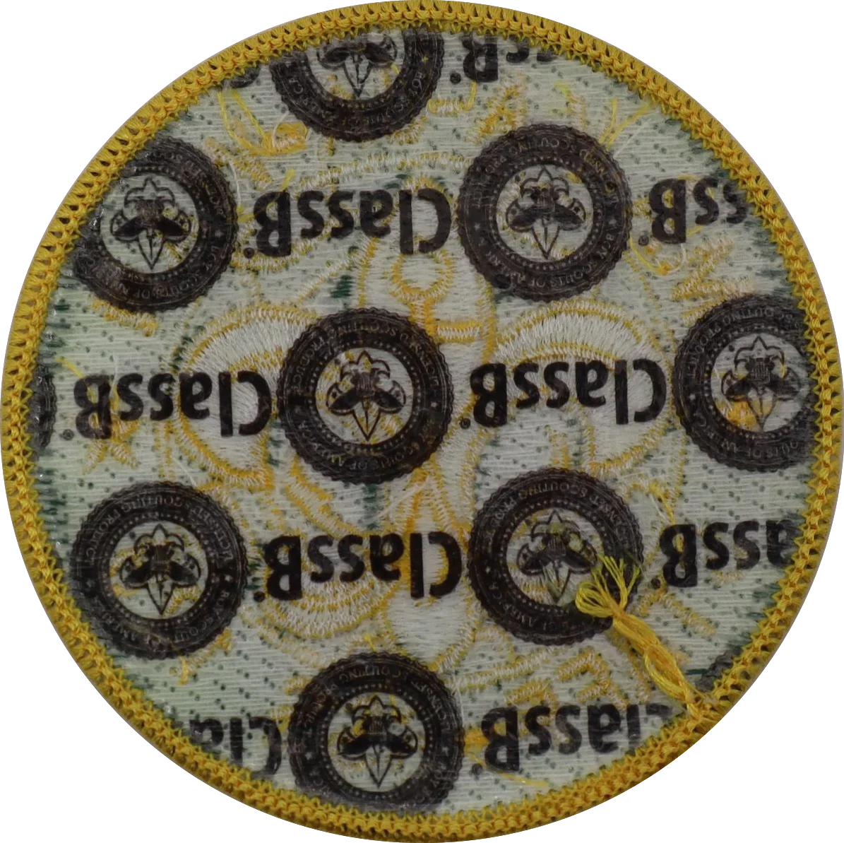 images/staff_anchor_green_yellow_class_b_rear.webp